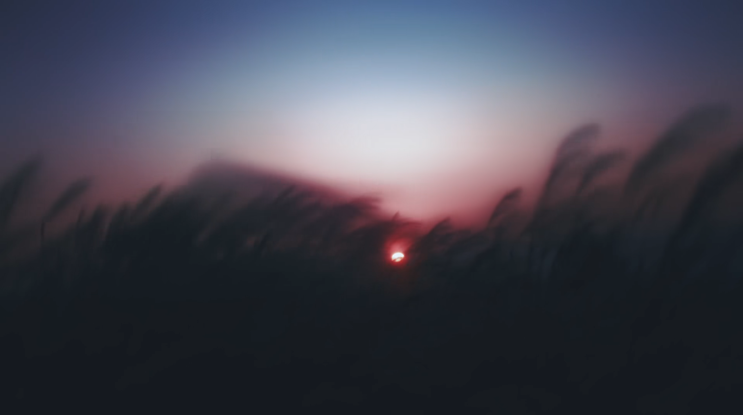 Banner image of the blog